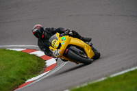 anglesey;brands-hatch;cadwell-park;croft;donington-park;enduro-digital-images;event-digital-images;eventdigitalimages;mallory;no-limits;oulton-park;peter-wileman-photography;racing-digital-images;silverstone;snetterton;trackday-digital-images;trackday-photos;vmcc-banbury-run;welsh-2-day-enduro